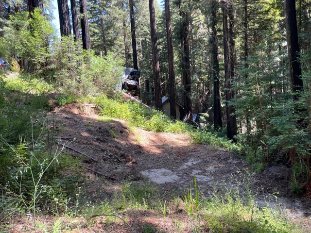 506 Sunset Road, Boulder Creek CA: https://media.crmls.org/mediaz/7cd2dddd-76de-45f0-ba9c-d6759a589905.jpg