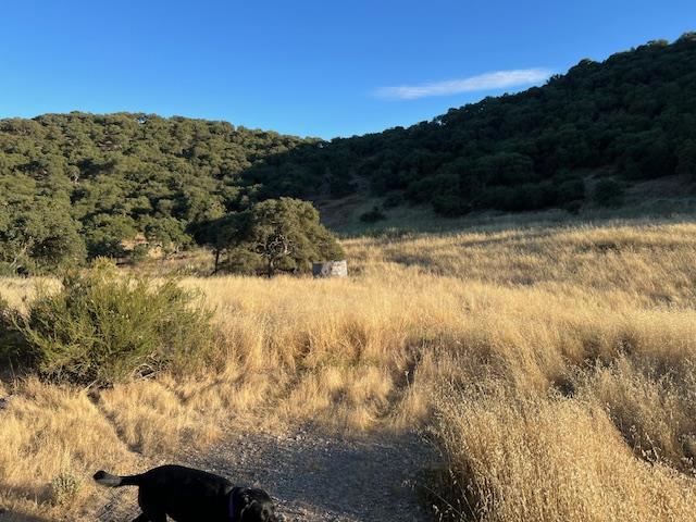 0 Pine Canyon Road, King City CA: https://media.crmls.org/mediaz/7cd6233e-dfcf-49a7-aef1-7f7345fd36c1.jpg