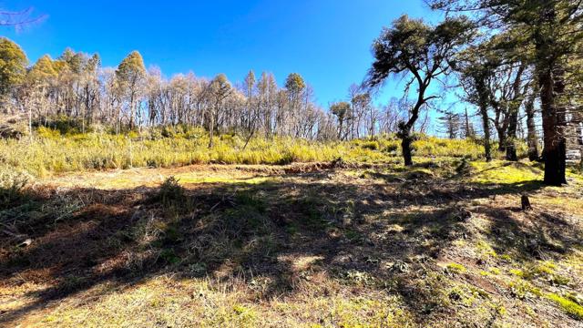 11035 Empire Grade, Santa Cruz CA: https://media.crmls.org/mediaz/7cde443f-20af-4e13-b079-a494b9ae8246.jpg