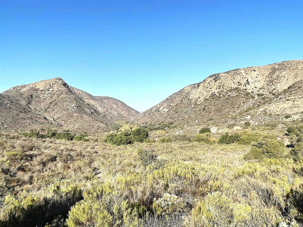 MLS #PTP2507525 image #30