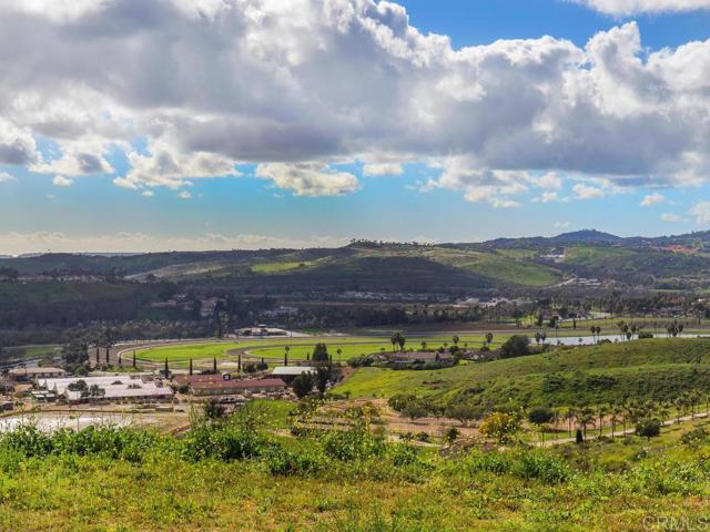 0 Chisholm Trail, Bonsall, California 92003, ,Land,For Sale,0 Chisholm Trail,CRNDP2400890