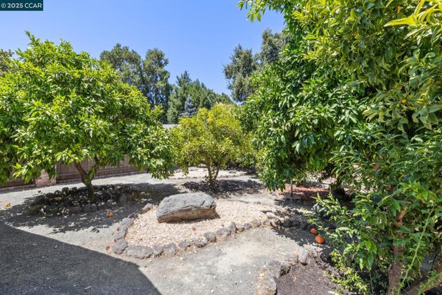 12 La Sonoma Ct, Alamo CA: https://media.crmls.org/mediaz/7cfd17c3-24e5-4f59-adde-5dc13d620f39.jpg