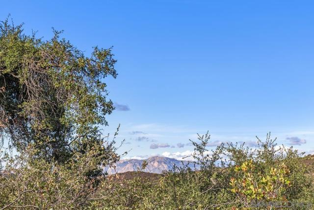 3340 Skytrail Ranch Rd, Jamul, California 91935, 4 Bedrooms Bedrooms, ,3 BathroomsBathrooms,Single Family Residence,For Sale,Skytrail Ranch Rd,240027620SD