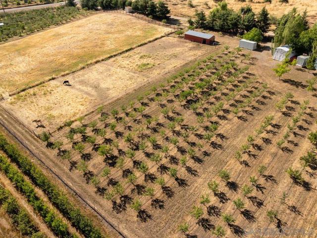1209 Farmer Road, Julian CA: https://media.crmls.org/mediaz/7d197d9d-252e-4d98-85cd-17ef0c64a3d1.jpg
