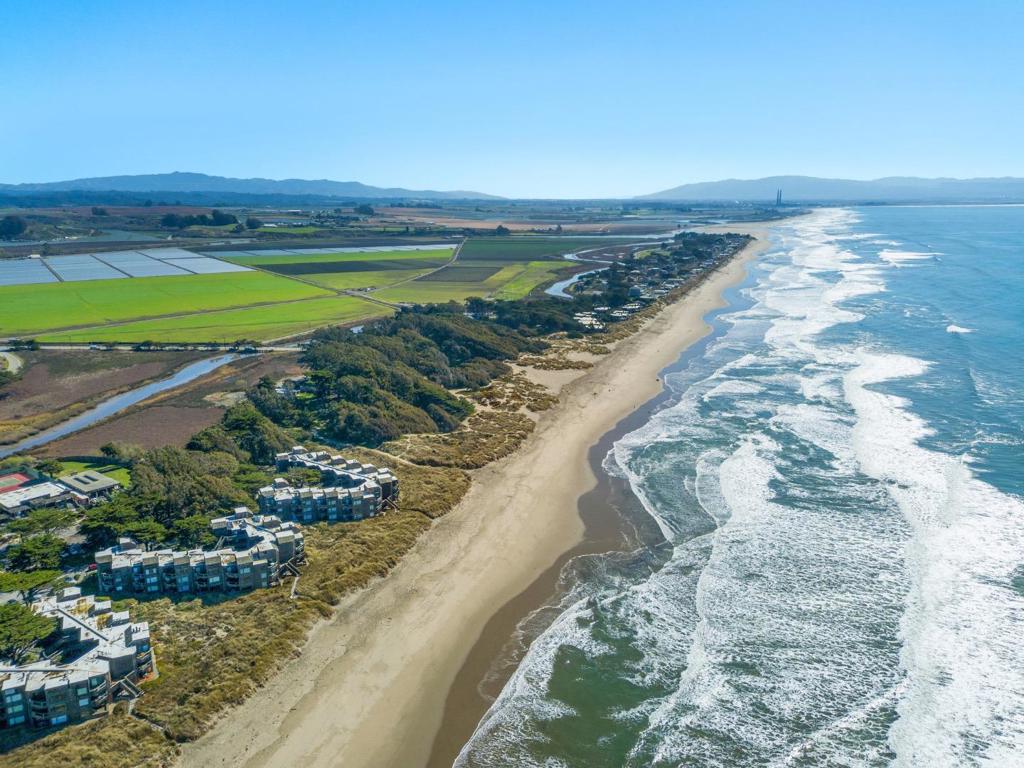 MLS #ML81995075 image #24