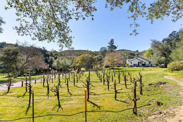 Detail Gallery Image 28 of 36 For 14671 Mussey Grade Rd, Ramona,  CA 92065 - 9 Beds | 6 Baths