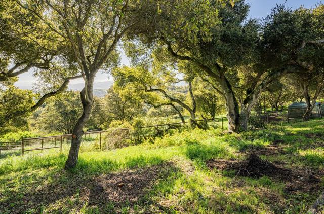 60 Brown Road, San Juan Bautista CA: https://media.crmls.org/mediaz/7d3213e8-9678-41d2-aa9d-9faada194106.jpg