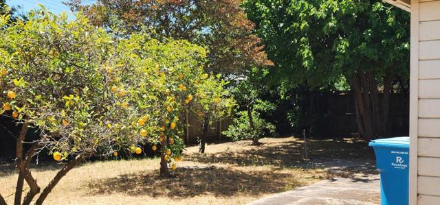 4320 Bassett Street, Santa Clara CA: https://media.crmls.org/mediaz/7d33d19b-2ae7-40e3-8b69-0e9546e6c936.jpg