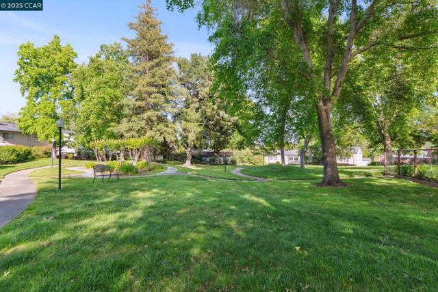 1877 Cannon, Walnut Creek CA: https://media.crmls.org/mediaz/7d37f0e3-6860-4936-a24e-27bcc1119f4b.jpg