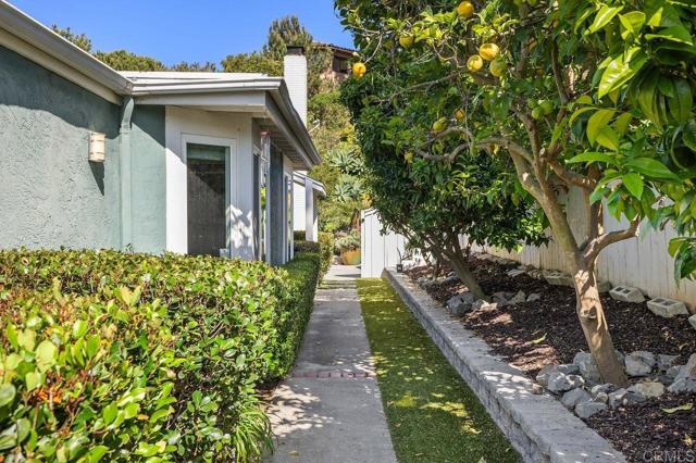 6804 Urubu Street, Carlsbad CA: https://media.crmls.org/mediaz/7d3b292b-252d-4fd2-a6f8-e7a26904b6d4.jpg
