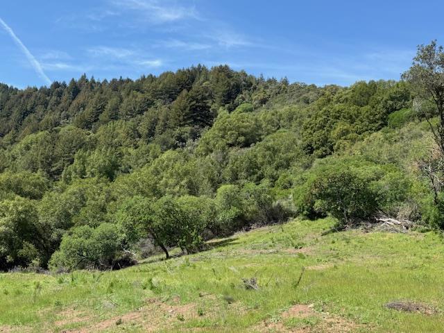 7175 Redwood Retreat Road, Gilroy CA: https://media.crmls.org/mediaz/7d3bc446-b6e2-4f44-812e-939153ce2ade.jpg