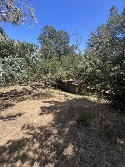 17160 Wilson Way, Royal Oaks CA: https://media.crmls.org/mediaz/7d3e927b-8b74-4d97-a332-e2ab1cd499e6.jpg