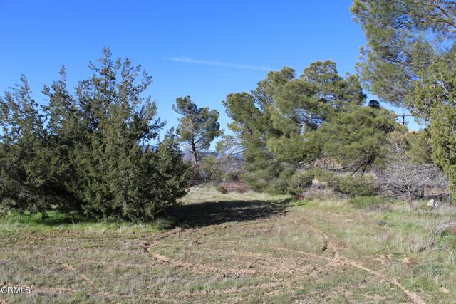 Detail Gallery Image 12 of 41 For 4190 Quatal Canyon Rd, Maricopa,  CA 93252 - – Beds | – Baths