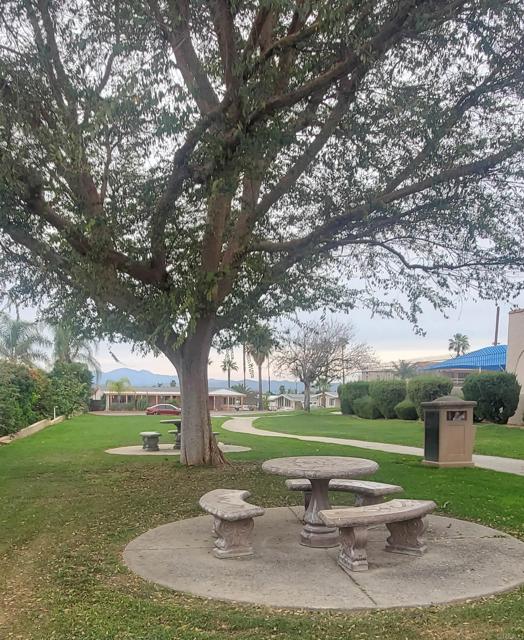 Detail Gallery Image 36 of 43 For 26056 Butterfly Palm Dr, Homeland,  CA 92548 - 2 Beds | 2 Baths