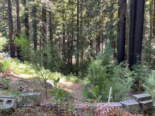 506 Sunset Road, Boulder Creek CA: https://media.crmls.org/mediaz/7d493cf9-fea4-4f32-bcae-7422991cd3a4.jpg