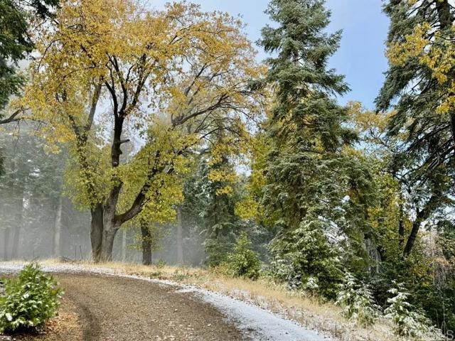 Detail Gallery Image 22 of 47 For 3413 Fern Meadow Rd, Palomar Mountain,  CA 92060 - 3 Beds | 3/1 Baths