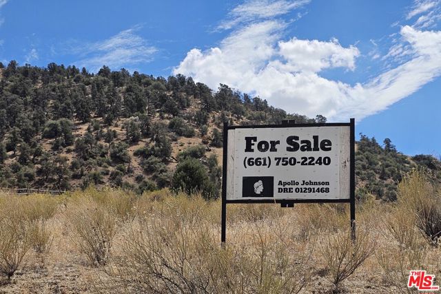 0 Pine Grove Dr, Tehachapi CA: https://media.crmls.org/mediaz/7d6f87a0-1591-4627-945e-31727d1f2322.jpg