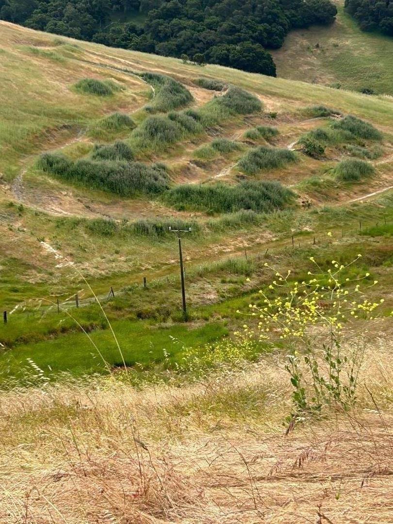 MLS #ML82007272 image #15