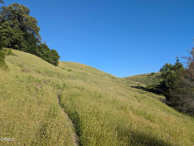 Detail Gallery Image 2 of 49 For 22346 Rickard Ranch Rd, Point Arena,  CA 95468 - – Beds | – Baths