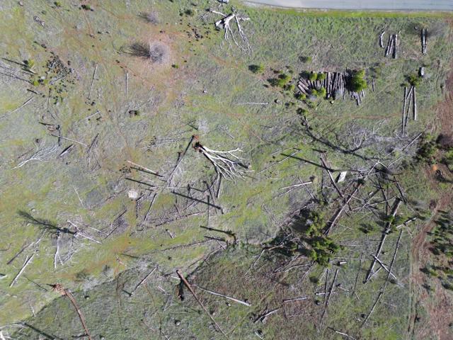 Image 8 of 24 For 5135 Old Emigrant Trail West