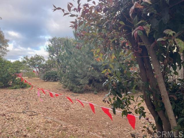 3328 Roosevelt Street - photo 4