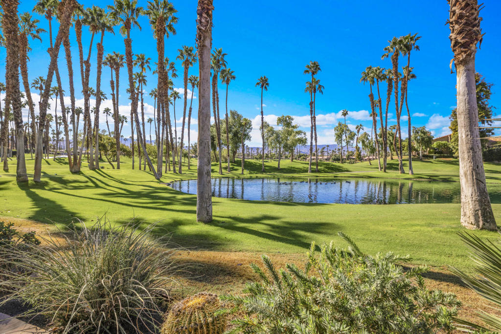 MLS #219138078DA image #33