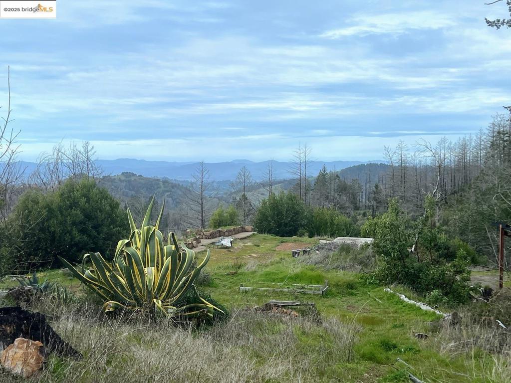 1557 Los Alamos RD