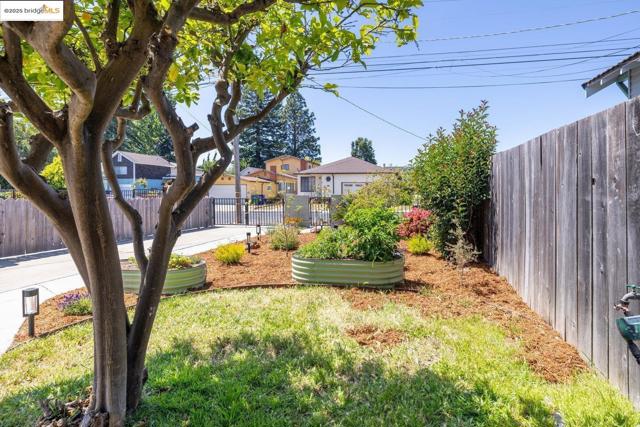 3742 Loma Vista AVE, Oakland CA: https://media.crmls.org/mediaz/7db21a44-637a-47a2-aebf-7f2fe8dd8755.jpg