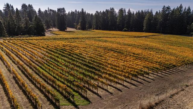 3980 Bonny Doon Road, Santa Cruz CA: https://media.crmls.org/mediaz/7db46951-0d2c-49ec-9e9c-fcc40c7ed529.jpg