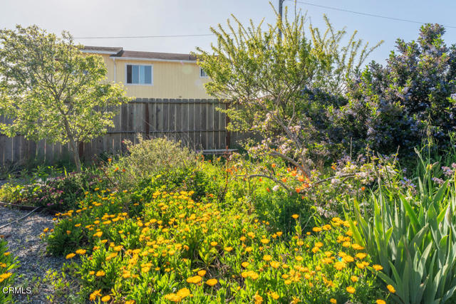 Detail Gallery Image 26 of 29 For 151 Grove St, Fort Bragg,  CA 95437 - 2 Beds | 2 Baths