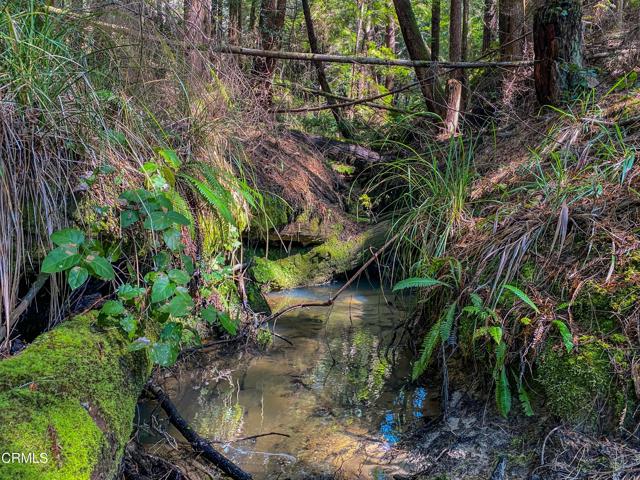 15137 Mitchell Creek Drive, Fort Bragg CA: https://media.crmls.org/mediaz/7dc81c47-f5e0-41d5-a13f-c89da2e59742.jpg