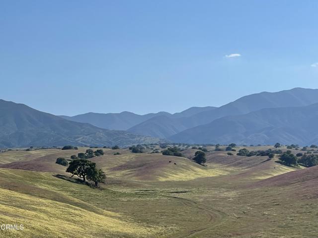 2170 Aliso Park Road, Cuyama CA: https://media.crmls.org/mediaz/7dcd2918-618f-4f62-a5a4-eacb7e09df24.jpg