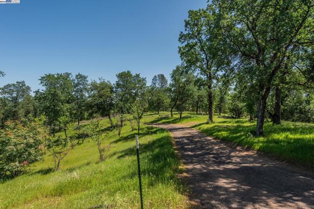 21679 Squaw Grass Trail, Redding CA: https://media.crmls.org/mediaz/7dd7b40c-bfc8-46cf-8012-998455f62c37.jpg