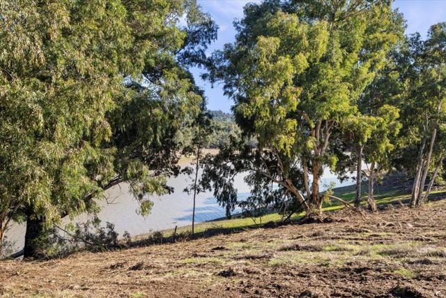 0 Old Santa Cruz Highway, Los Gatos CA: https://media.crmls.org/mediaz/7ddbb7a6-b38c-4ab7-aaa0-75dca9ad267c.jpg