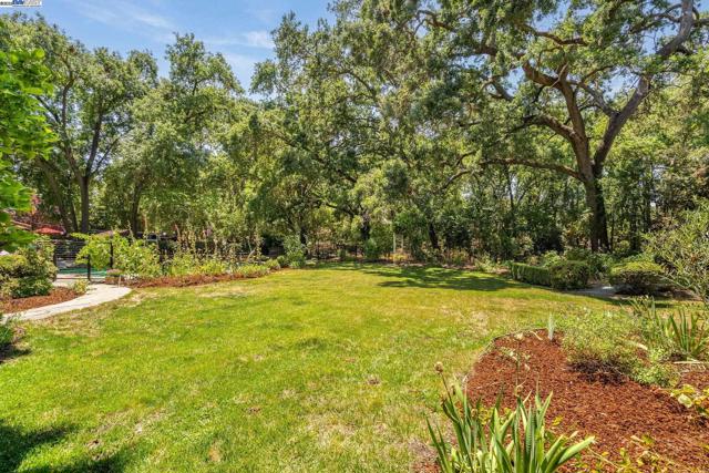 20 Donna Ln, Danville CA: https://media.crmls.org/mediaz/7de02814-72e2-48c4-bc39-6b1d90b64ed9.jpg