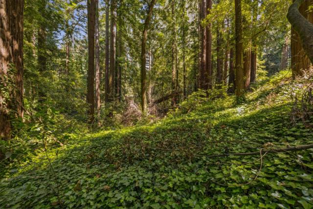 0 Highway 9, Boulder Creek CA: https://media.crmls.org/mediaz/7de0df51-ec1a-43d6-9743-adb4c6439419.jpg