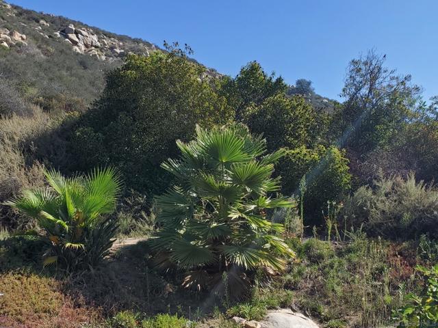 1088 Deer Springs Rd, San Marcos CA: https://media.crmls.org/mediaz/7de57ac5-d5ae-45e9-8306-7baa47c58fc4.jpg