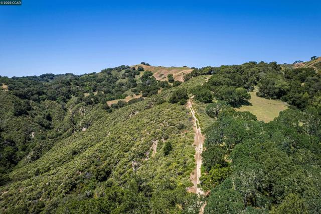 0 Monticello Rd., Lafayette CA: https://media.crmls.org/mediaz/7ded65f1-37e3-4950-abc2-2f08b674579d.jpg