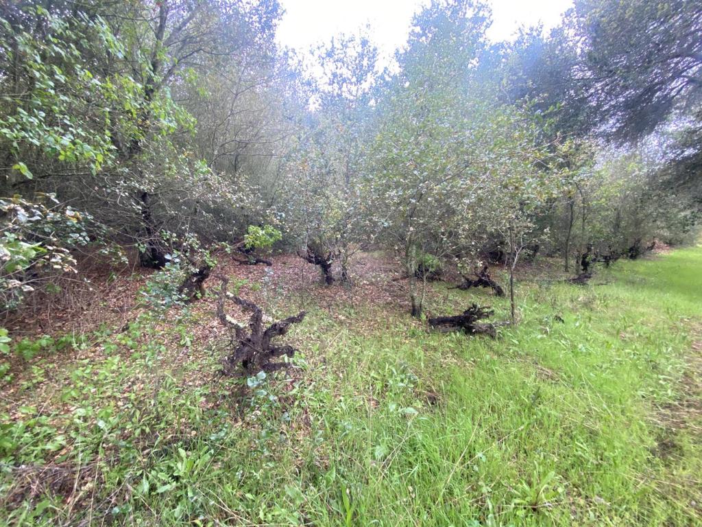 MLS #ML82003363 img 3