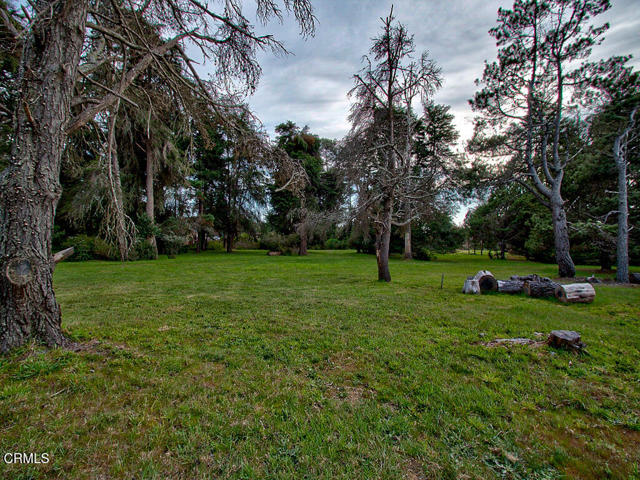 Detail Gallery Image 18 of 26 For 19100 Summers Ln, Fort Bragg,  CA 95437 - – Beds | – Baths