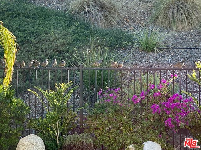 18648 Juniper Springs Drive, Canyon Country CA: https://media.crmls.org/mediaz/7e11ffed-194d-4fa5-9d92-8412f5e404e3.jpg