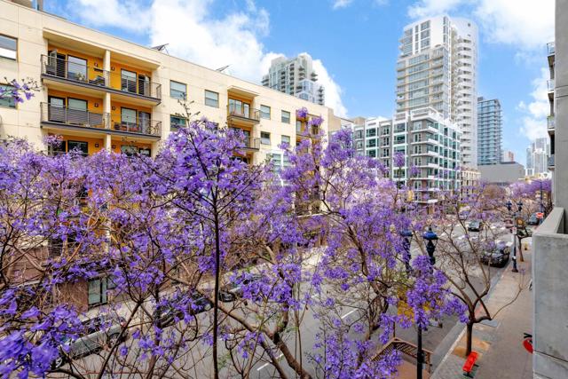 1025 Island Ave, San Diego CA: https://media.crmls.org/mediaz/7e14766d-e0ef-457e-8cf1-94418b6adcd1.jpg