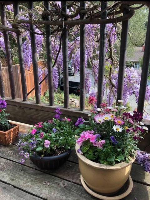 335 Hallsons Lane, Ben Lomond CA: https://media.crmls.org/mediaz/7e23361d-4c87-431c-ae11-b656db256e61.jpg