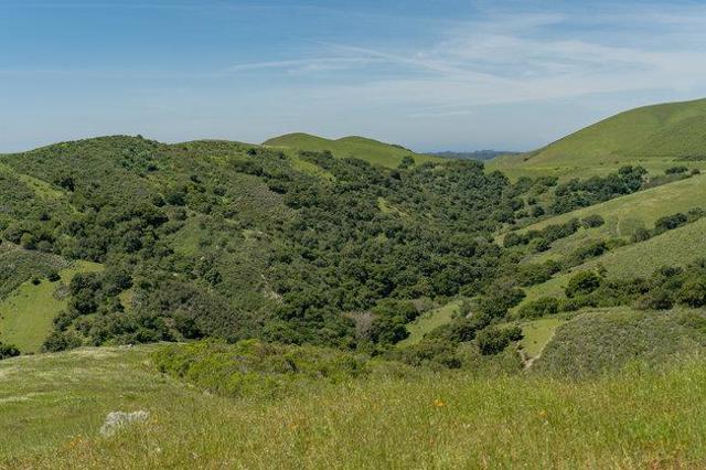 100 Old Stage Rd, San Juan Bautista CA: https://media.crmls.org/mediaz/7e45dbe6-6ec2-44b3-ab1d-34c2266e51a7.jpg