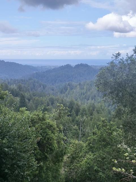 1380 Amaya Ridge Road, Soquel CA: https://media.crmls.org/mediaz/7e4cc5f6-8285-4910-a3b0-ec43e866d224.jpg