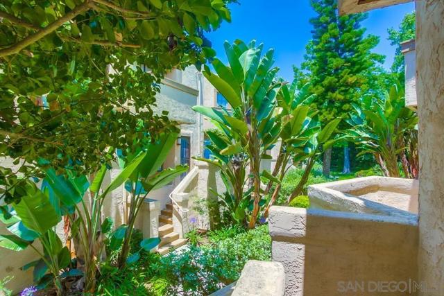 3268 Via Marin, La Jolla CA: https://media.crmls.org/mediaz/7e4e2cd5-51dd-435e-8418-a4d1b55da9fe.jpg