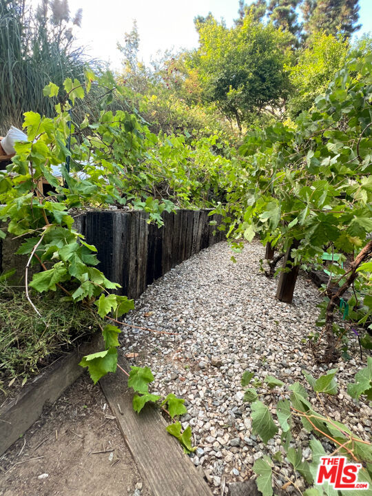 3105 Ledgewood Drive, Los Angeles CA: https://media.crmls.org/mediaz/7e55c40d-04e3-439a-9e3d-833bb1a9187a.jpg