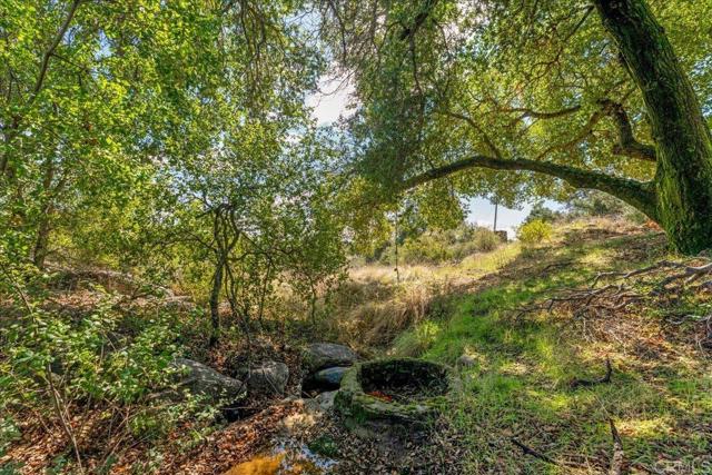 Detail Gallery Image 67 of 71 For 31308 Highway 94, Campo,  CA 91906 - 4 Beds | 2/1 Baths