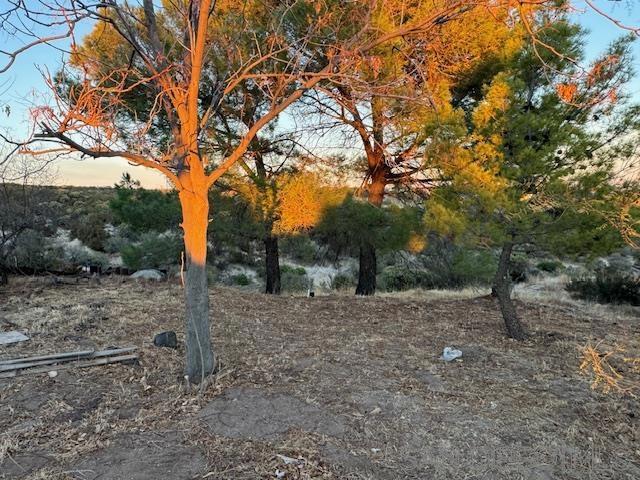 Image 70 of 74 For 2513 Tecate Divide Rd