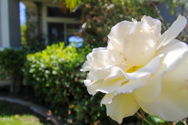 904 Calle Higuera, Camarillo CA: https://media.crmls.org/mediaz/7e6651c7-6cbe-4383-9b74-dc71783afd21.jpg
